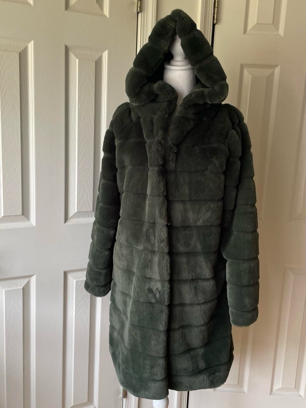 Apparis Faux Fur Hooded Coat - Dark Green NWT
